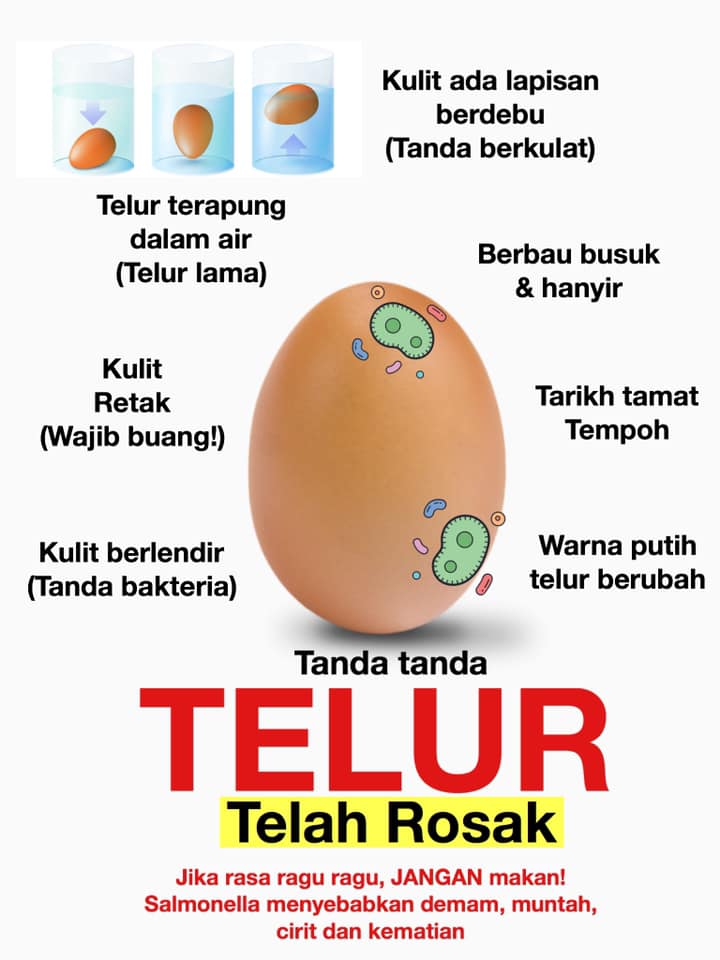 http://angkasanuri.pjk.com.my/images/telur_rosak.jpg?1591244123